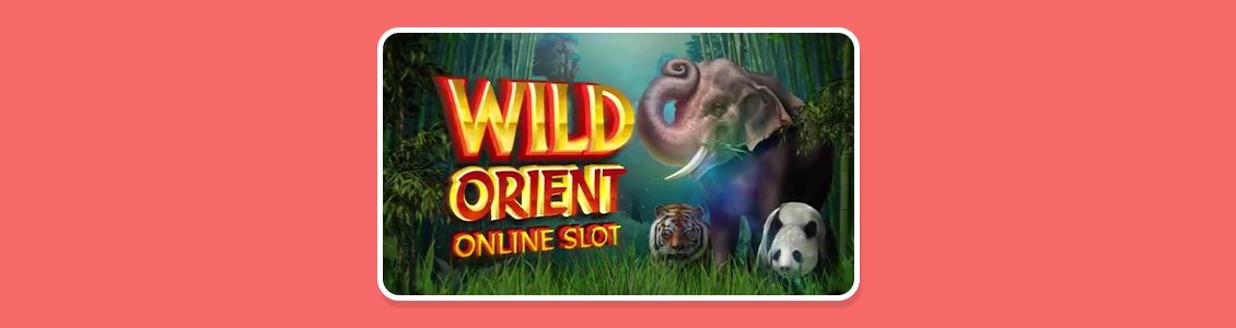 Games Global Wild Orient