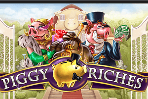 Piggy riches bonus game