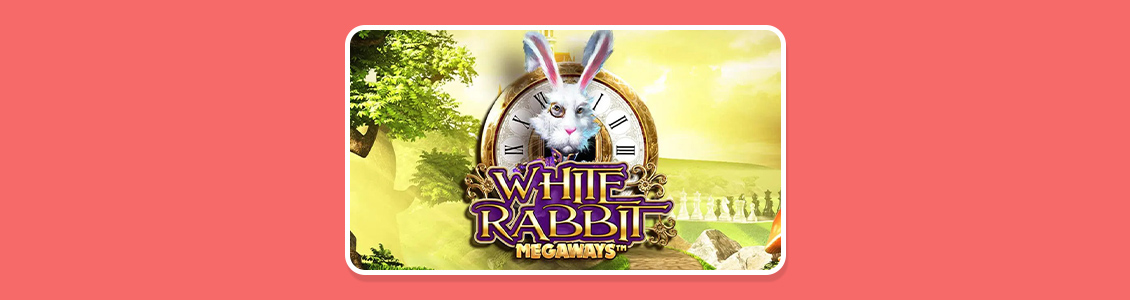 White Rabbit